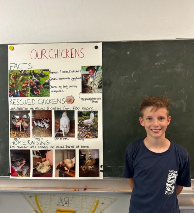Von Hühnern, Basketballern und schwarzen Löchern