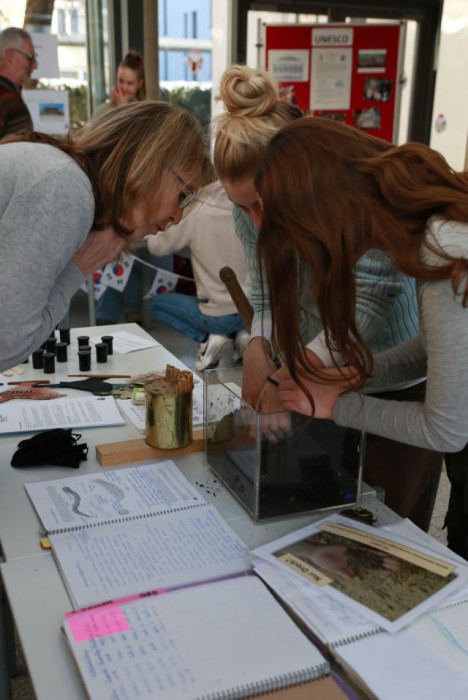 Forschen, lernen, staunen